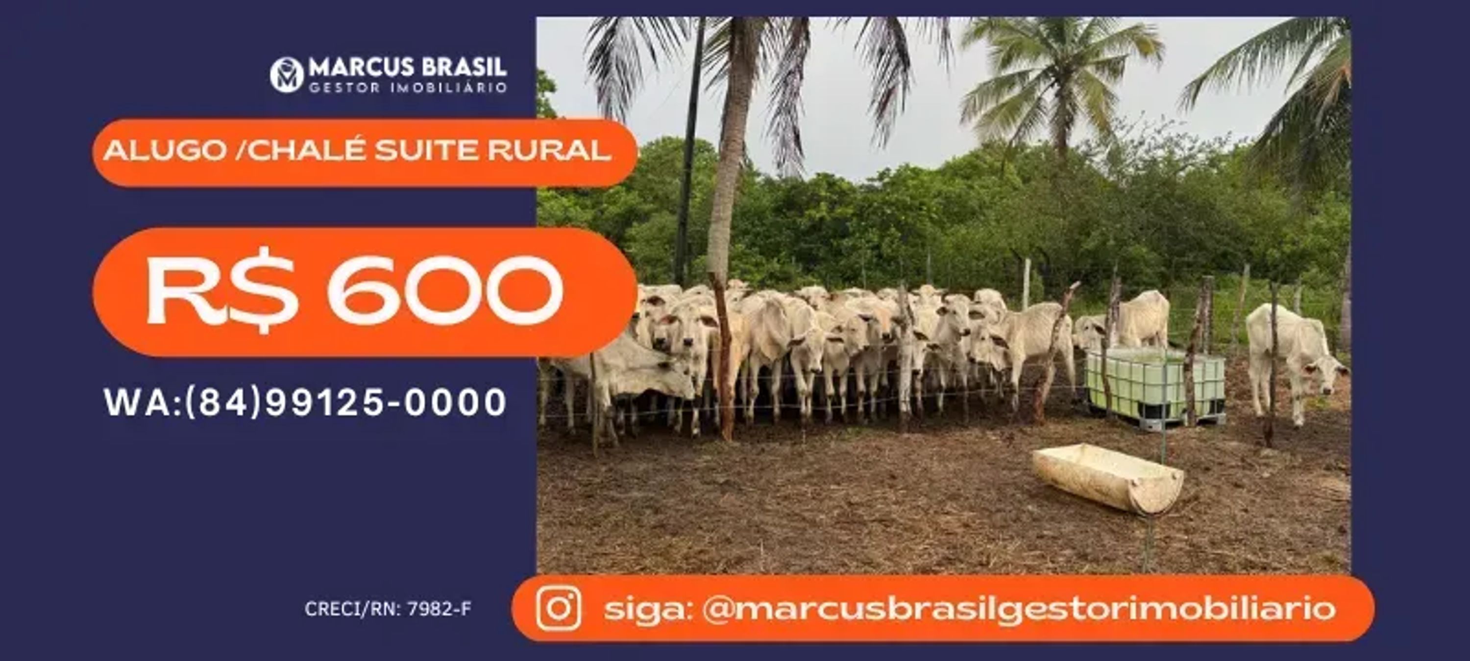 Foto do imóvel CHALÉS proximo a PRAIA DE MURIÚ para ALUGAR ANUAL! – R$600